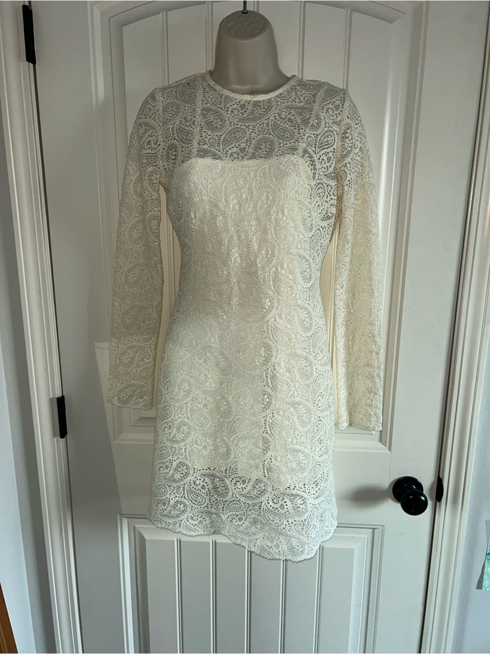 Fifteen Twenty Ivory Lace Long-Sleeve Mini Dress
